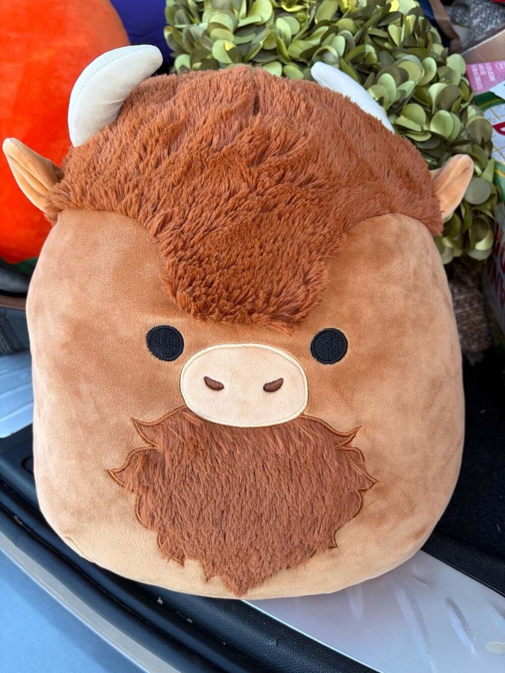 Squishmallows Plush Toy - 14"" Dunkie the bison Soft Stuffed Animal